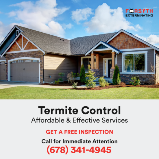 Termite Control in Atlanta GA Termite Treatment & Inspection