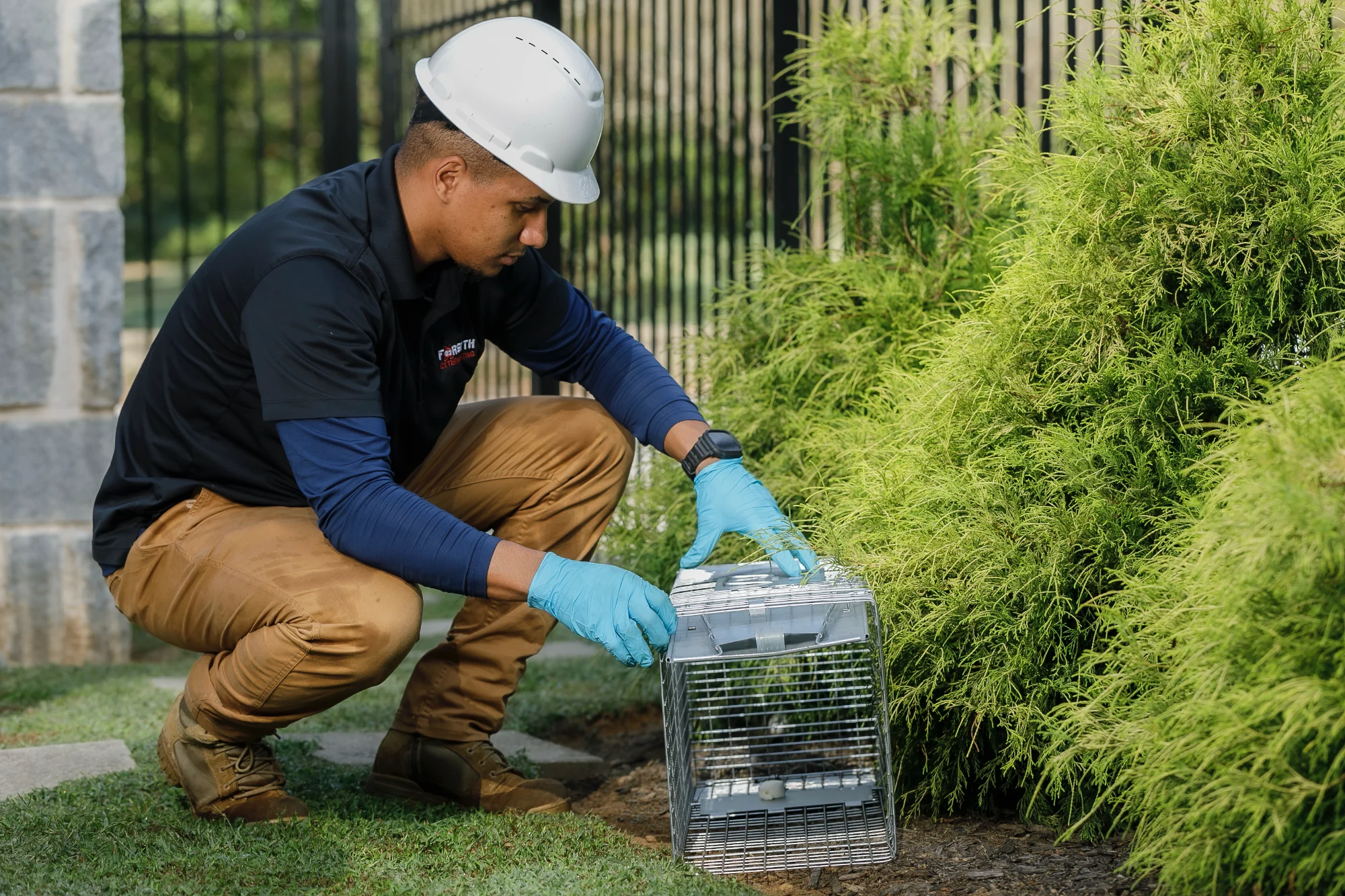 Deer control service in Cumming, GA