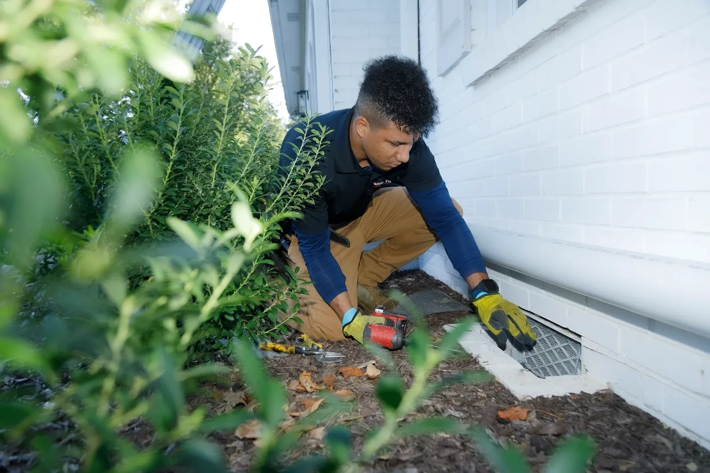 A Forsyth Exterminating technician in a navy long-sleeve shirt and yellow gloves kneeling by a foundation vent in a mulch bed beside a white house